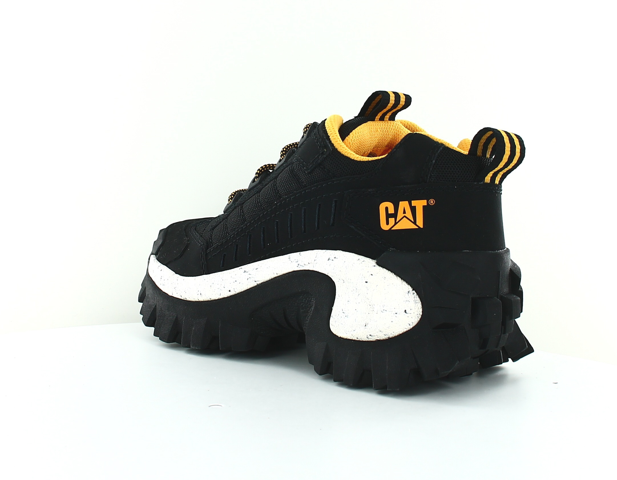 cat intruder noir