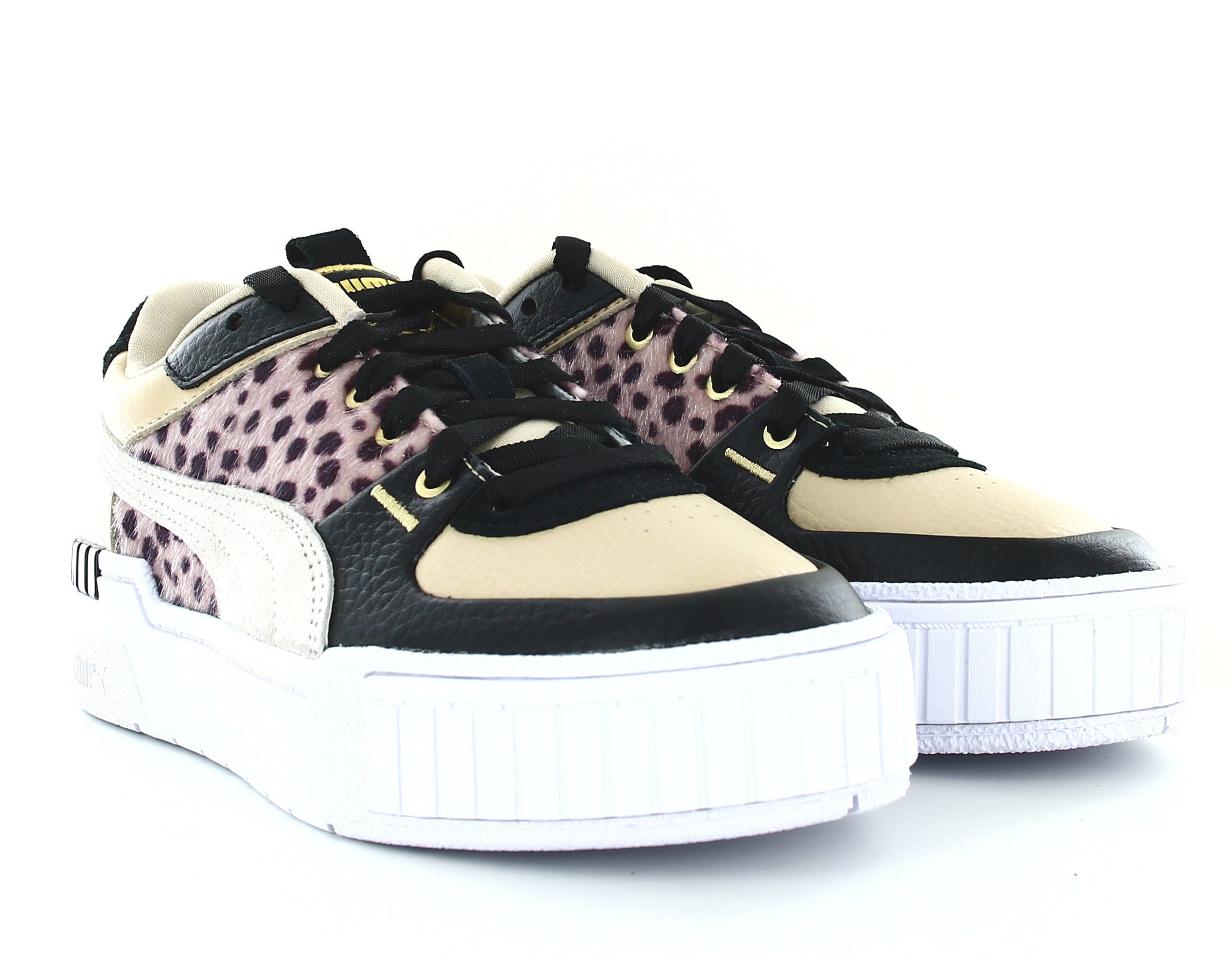puma cali leopard