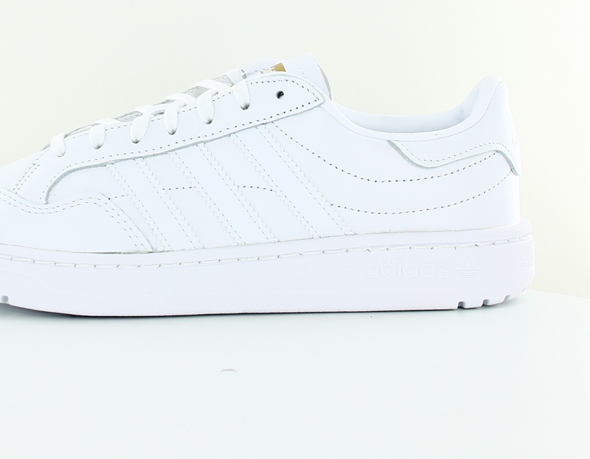 Adidas Team court blanc blanc or