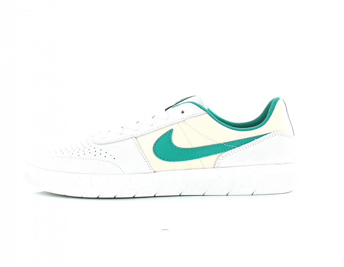 Nike Nike sb team classic gris vert turquoise beige