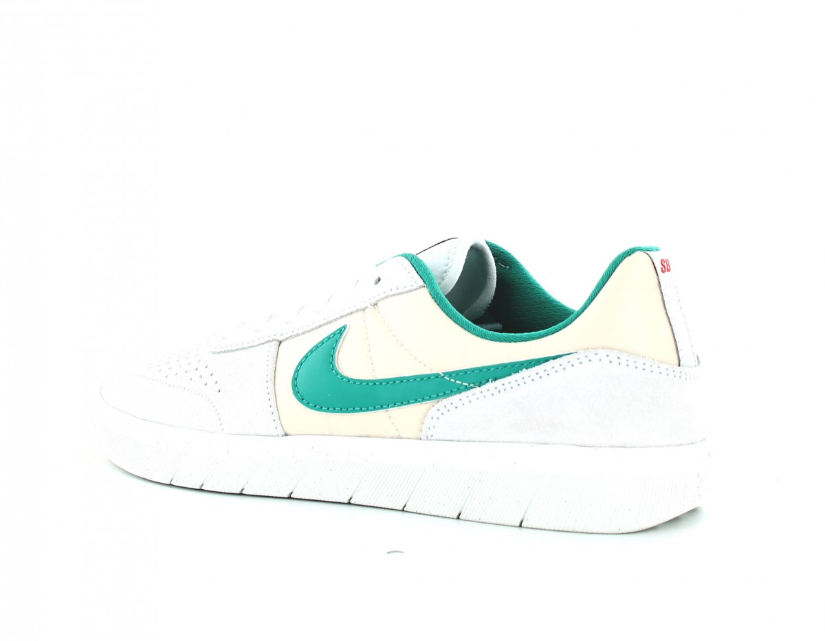 Nike Nike sb team classic gris vert turquoise beige