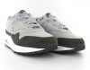 Nike Air Max 1 premium SC Jewell women Wolf Grey-Metallic Pewter