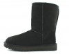 Ugg classic short NOIR