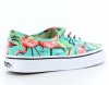 Vans Authentic flamant rose van doren BLEU/TURQUOISE/ROSE