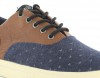 Armistice Hope trainer BLEU/MARRON