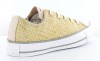 Converse Allstar Low Woven Beige / Or