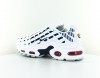 Nike Air max plus tn women blanc bleu rouge