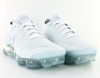 Nike Air Vapormax Flyknit 2 Pure platinium-White