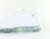 Nike Air Vapormax Plus blanc blanc gris