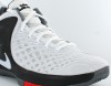 Nike Lebron Zoom Witness Blanc/Noir