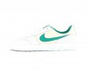 Nike Nike sb team classic gris vert turquoise beige