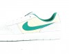 Nike Nike sb team classic gris vert turquoise beige