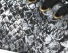 Noname Plato Sneaker Snake NOIR