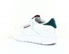 Reebok Club c double blanc bordeaux vert