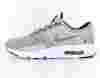 Nike Air Max Zero Metallic/Silver
