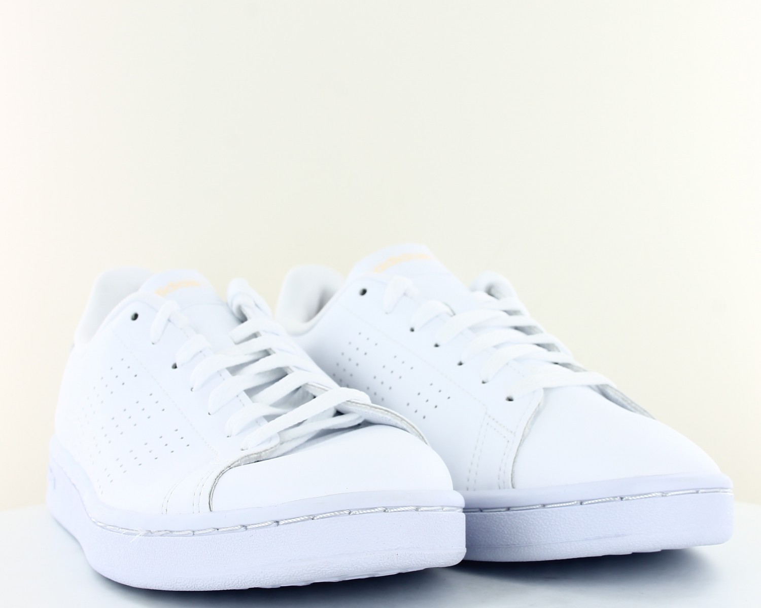 Adidas discount advantage blanche